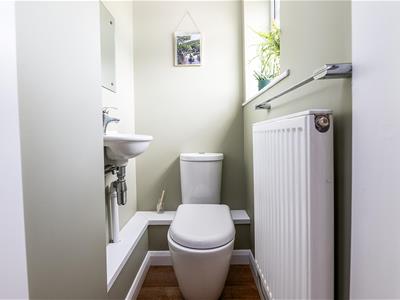 Picture 20